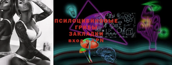 spice Богородск