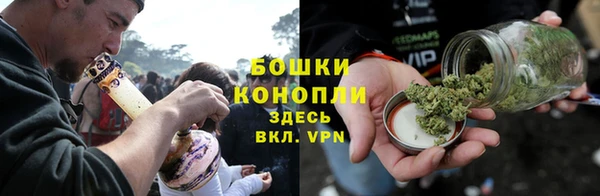 spice Богородск