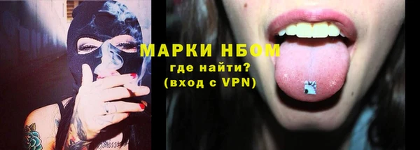 spice Богородск