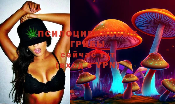 spice Богородск