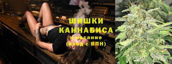 spice Богородск
