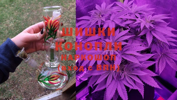 эйфоретик Богданович
