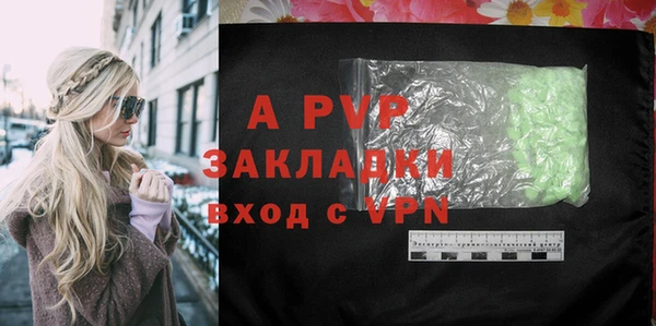 эйфоретик Богданович