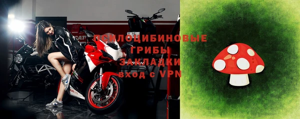 spice Богородск
