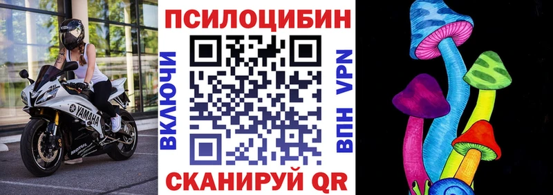 Галлюциногенные грибы Psilocybine cubensis  Венёв 